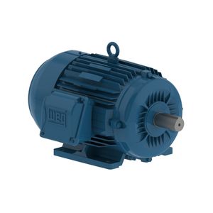 Motor Elétrico Trifasico 2,00cv 2 pólos W-22 Weg
