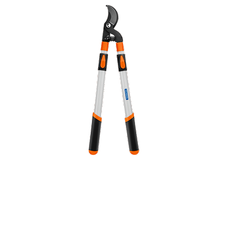 sd3