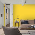 amarelo-canario